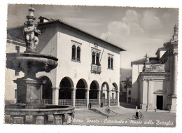 Italie--VITTORIO VENETO--1955--Cattedrale E Museo Della Battaglia (animée, Fontaine,vélo.....timbre ..cachet...griffe - Treviso