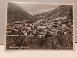 Cartolina Esanatoglia Provincia Macerata , Panorama Anni 50 - Macerata