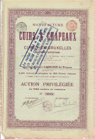 Titre De 1895 - Manufacture De Cuirs A Chapeaux De Cureghem-Bruxelles - - Textile