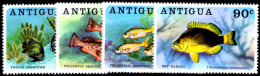 Antigua 1976 Fish Unmounted Mint. - 1960-1981 Autonomía Interna