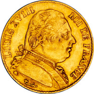 20 Francs Or Louis XVIII 1815 Paris - 20 Francs (oro)