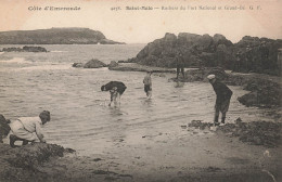 St Malo * Rochers Du Fort National Et Grand Bé * Pêche à Pied - Saint Malo