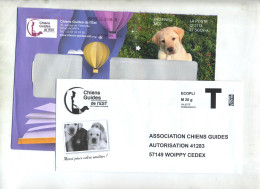 Enveloppe Reponse T Chien Guide Est + Destineo + Marque Page - Cartes/Enveloppes Réponse T