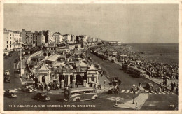 ANGLETERRE THE AQUARIUM AND MADEIRA DRIVE BRIGHTON - Brighton