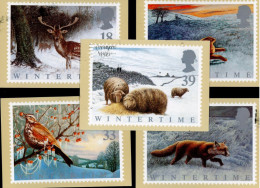 GRANDE BRETAGNE - LES ANIMAUX L'HIVER - CARTE MAXIMUM - N° Yvert 1591/1595 - Cartes-Maximum (CM)