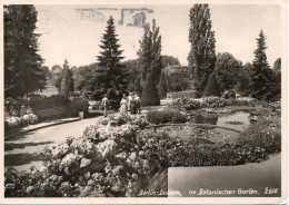 ältere Karte BERLIN - Dahlem / Botanischer Garten (s/w) - Dahlem