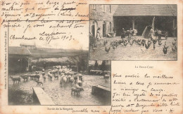 France - Dompierre Sur Bresbre - La Basse Cour - Sotrie De La Bergerie - Abbaye De ND De Chamb. - Carte Postale Ancienne - Moulins
