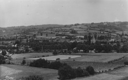 Tournay - Vue Panoramique   -  CPSM °J - Tournay