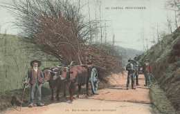 France - Le Cantal Pittoresque - Sur La Route, Attelage Auvergnat - Colorisé - Boeuf - Carte Postale Ancienne - Andere & Zonder Classificatie