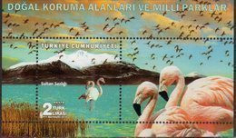 TURKEY, 2018, MNH, BIRDS, FLAMINGOES, MOUNTAINS, NATIONAL PARKS, SHEETLET - Flamencos