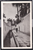 Laghouat - Grande Seghia - Laghouat