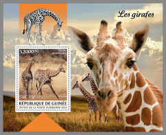 GUINEA REP. 2023 MNH Giraffes Giraffen Girafes S/S - OFFICIAL ISSUE - DHQ2327 - Giraffes