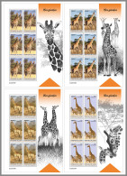 GUINEA REP. 2023 MNH Giraffes Giraffen Girafes 4M/S - OFFICIAL ISSUE - DHQ2327 - Girafes