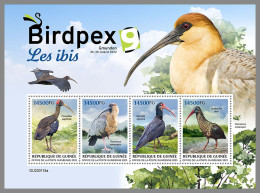 GUINEA REP. 2023 MNH Ibis Birdpex M/S - OFFICIAL ISSUE - DHQ2327 - Ostriches