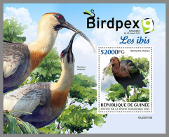 GUINEA REP. 2023 MNH Ibis Birdpex S/S - IMPERFORATED - DHQ2327 - Struisvogels