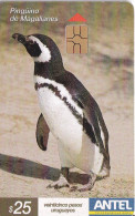 Nº 269 TARJETA DE URUGUAY DE UN PINGUINO DE MAGALLANES (CHIP ROJO) PENGUIN - Uruguay