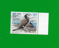 ISLAND  ISLANDE  1996  Gestemeplt°used/Bedarf MICHEL-Nr. 840  =  VÖGEL: Kormoran # Grand Cormoran - Gebraucht