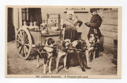 BELGIQUE - Laitière Flamande. A Flemish Milk-maid, Photo A. Dohmen, Bruxelles - Ambachten