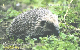 Jersey:Used Phonecard, Jersey Telecoms, 2£, Environment Festival 1999, Common Hedgehog - Autres - Europe