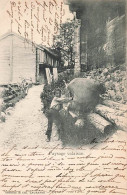 Paysage Valaisan Enfant Sac De Foin Valais 1900 Wallis Walliser Landschaft Vuillage Dorf  Cachet Martigny - Martigny