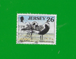 JERSEY 1993  Gestempelt°used/Bedarf  #  Michel-Nr. 843  # MÖWEN:  Regenpfeiffer - Seagulls