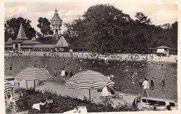 HONGRIE - BUDAPEST - L'isle St Marguerite - La Plague -  Carte Postale Ancienne - Ungarn