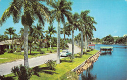 USA - Delightful Tropical Florida Living -  Carte Postale Ancienne - Altri & Non Classificati