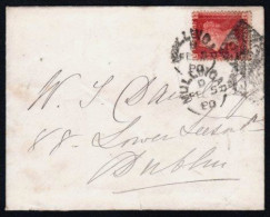 1880 Cover From Mullingar To Dublin Franked With 1d Pl. 223 In An Unusually Bright Rose-red Shade - Lettres & Documents