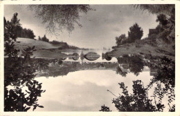 LUXEMBOURG - ECHTERNACH - Suisse Luxembourgeoise - Pont De La Sûre - Carte Postale Ancienne - Echternach