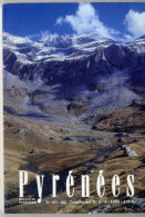 PYRENEEE  N° 3 & 4   1995  -  OSSAU  - HISTOIRE DU PAUVRE BUCHET - LES REFUGES DE HAUTES MONTAGNES   -   PAGE 211 A 403 - Midi-Pyrénées