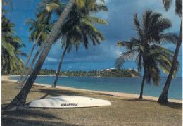 Antigua Et Barbuda . CPM . Morris Bay . - Antigua En Barbuda