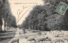 Angerville          91         Rue Nationale     Troupeau De Moutons  -  2  -            (voir Scan) - Angerville