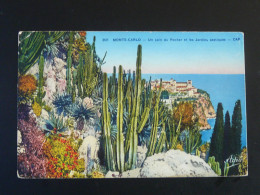 Carte Postale Jardin Exotique Cactus Monaco 1939 - Exotischer Garten