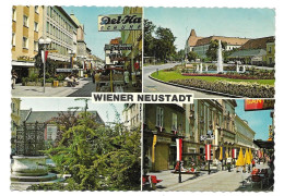 2700  WIENER NEUSTADT  1977 - Wiener Neustadt