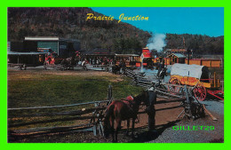 LAKE GEORGE, NY - PRAIRIE JUNCTION - FRONTIER TOWN IN THE ADIRONDACKS - DEXTER - PUB BY DEAN COLOR SERVICE - - Adirondack