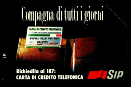 G 220 C&C 1253 SCHEDA TELEFONICA USATA COMPAGNA DI TUTTI I GIORNI 15.000 L. 30.06.95 TES - Openbaar Gewoon