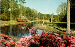 Mississippi Biloxi Lagoon At Beauvoir The Jefferson Davis Shrine - Autres & Non Classés