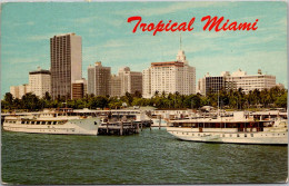 Florida Miami Skyline As Seen From Dodge Island 1961 - Miami