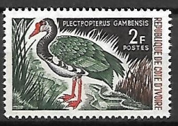 Ivory Coast - MNH ** 1964 :  Spur-winged Goose  -  Plectropterus Gambensis - Gansos