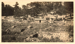 Col De Bavella , Village * 1934 * Corse Du Sud 2A * Photo Ancienne 11x6.8cm - Autres & Non Classés