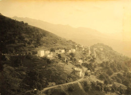 Belgodère * 1934 * Le Village * Haute Corse 2B * Photo Ancienne 10.5x7.5cm - Corte