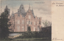 Les Environs De Namur - Goyet Château - Gesves