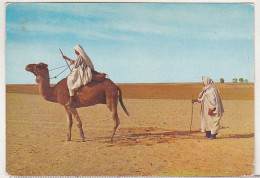 Used Postcard - Bedoins - Afrique