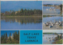 LARNACA SALT LAKE TEKKE - Chypre