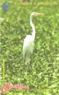 Antigua And Barbuda:Used Phonecard, Caribbean Phonecards, 10 EC$, Great Egret, Casmerodius Albus - Antigua U. Barbuda