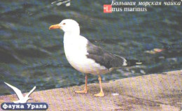 Russia:Used Phonecard, Uralsvjazinform, 100 Units, Ural Fauna, Bird, Larus Marinus, Gull, 2004 - Russia