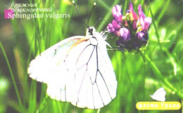 Russia:Used Phonecard, Uralsvjazinform, 60 Units, Ural Fauna, Butterfly, Sphingidae Vulgaris, 2006 - Russia