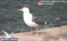 Russia:Used Phonecard, Uralsvjazinform, 200 Units, Ural Fauna,bird, Larus Marinus, Gull, 2004 - Russia