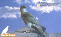 Russia:Used Phonecard, Uraltelekom, Ural Fauna, Bird, Accipiter Gentilis, 70 Units, 2002 - Russia