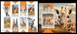 Guinea  2023 Giraffes. (105) OFFICIAL ISSUE - Girafes